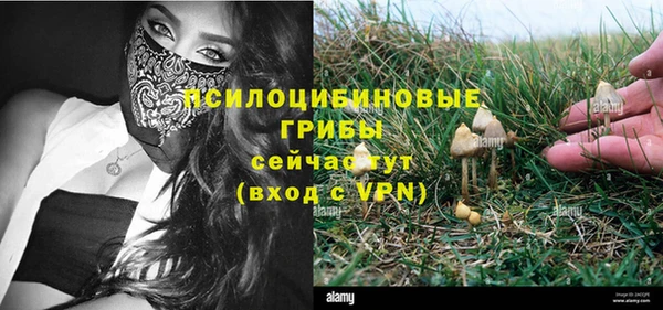 герыч Бронницы