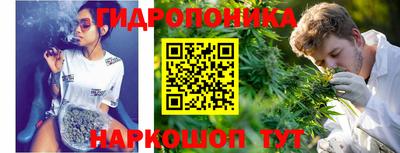 скорость Гусь-Хрустальный