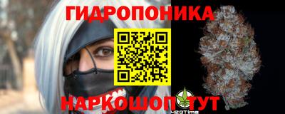 скорость Гусь-Хрустальный