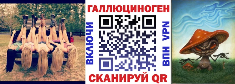 купить Заводоуковск Галлюциногенные грибы MAGIC MUSHROOMS
