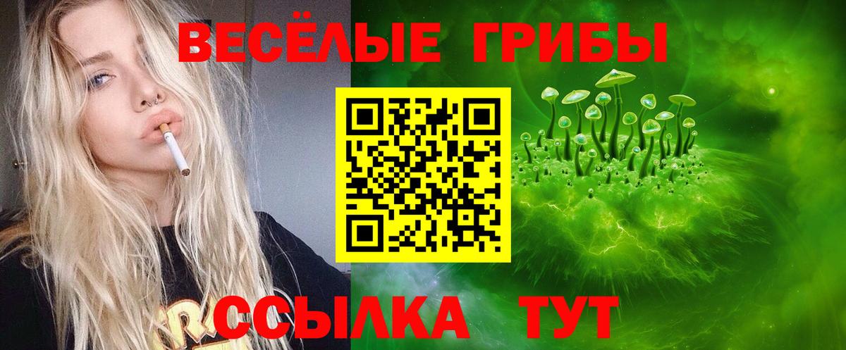Галлюциногенные грибы мухоморы  Вход с VPN  Заводоуковск  Псилоцибиновые грибы мухоморы 