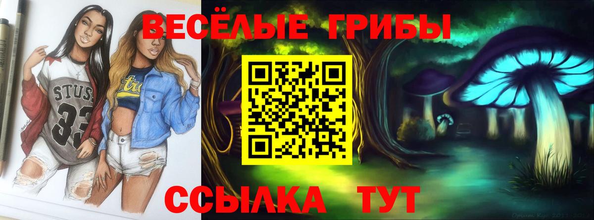 Галлюциногенные грибы Magic Shrooms  Заводоуковск  Псилоцибиновые грибы Cubensis 