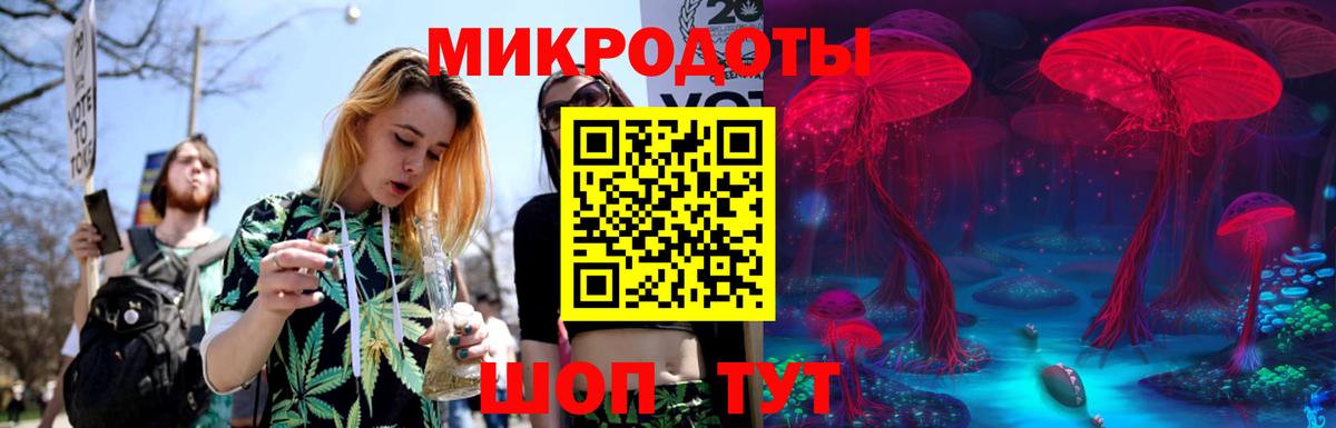 Псилоцибиновые грибы GOLDEN TEACHER Заводоуковск